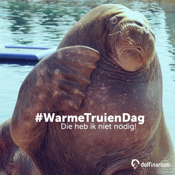 warme trui dolfinarium